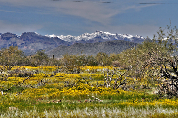 snow-capped mtns